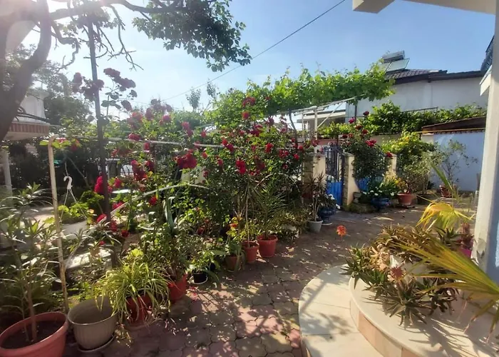 ホステル Ana Si Alex *