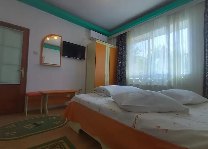 ホステル Ana Si Alex エフォリエ・ノルド