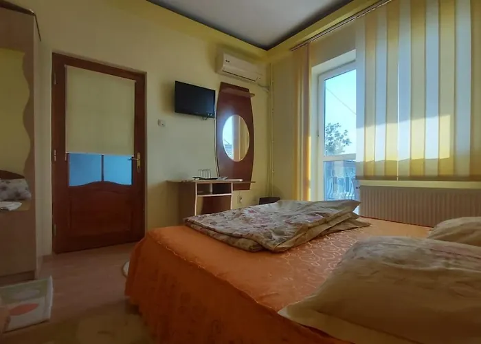 ホステル Ana Si Alex エフォリエ・ノルド