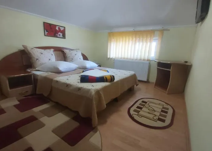 ホステル Ana Si Alex エフォリエ・ノルド