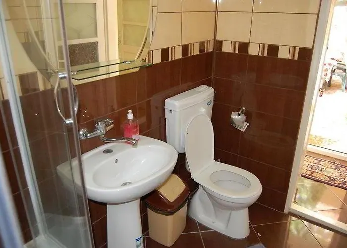 Ana Si Alex ホステル エフォリエ・ノルド