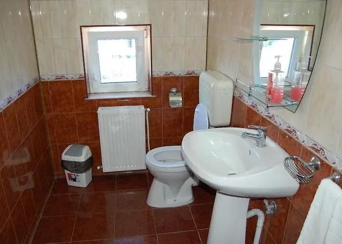 ホステル Ana Si Alex エフォリエ・ノルド